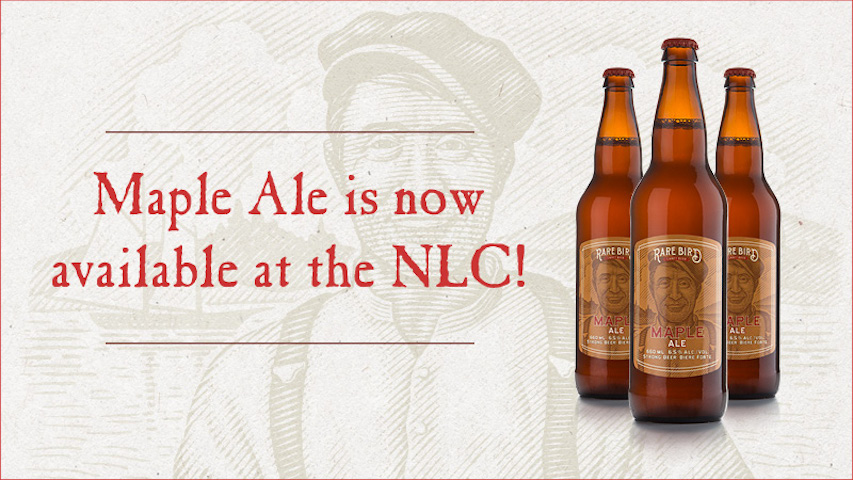 Three Rare Bird Maple Ale bottles. Maple Ale is now available at the NLC!