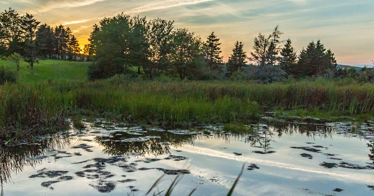 Nature - Guysborough